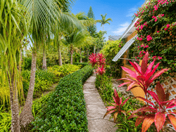 New Providence Paradise Island BS