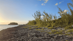 Eleuthera BS