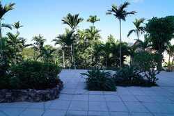 New Providence Paradise Island NP