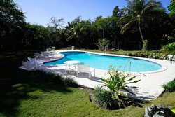 New Providence Paradise Island NP