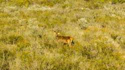 1023 U-bar Ranch Road Brackettville TX 78832