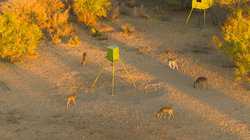 1023 U-bar Ranch Road Brackettville TX 78832