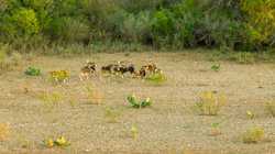 1023 U-bar Ranch Road Brackettville TX 78832