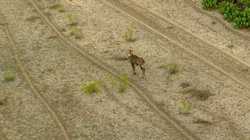 1023 U-bar Ranch Road Brackettville TX 78832