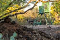 1023 U-bar Ranch Road Brackettville TX 78832