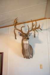 1023 U-bar Ranch Road Brackettville TX 78832