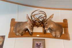 1023 U-bar Ranch Road Brackettville TX 78832