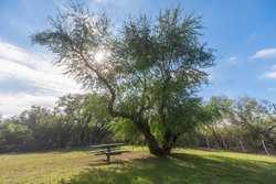 1023 U-bar Ranch Road Brackettville TX 78832