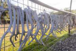 1023 U-bar Ranch Road Brackettville TX 78832