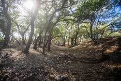 1023 U-bar Ranch Road Brackettville TX 78832