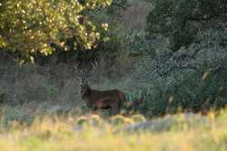 3701 Highway 41 Mountain Home TX 78058