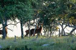 3701 Highway 41 Mountain Home TX 78058