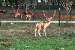 3701 Highway 41 Mountain Home TX 78058