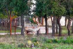 3701 Highway 41 Mountain Home TX 78058