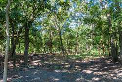 Cr 343 Gonzales TX