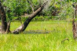 Cr 343 Gonzales TX