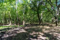 Cr 343 Gonzales TX