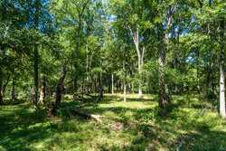 Cr 343 Gonzales TX
