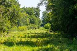Cr 343 Gonzales TX