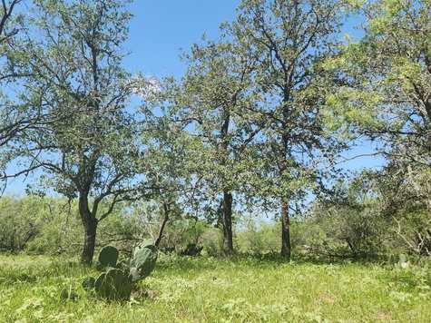 6888 Old Luling Road Seguin TX