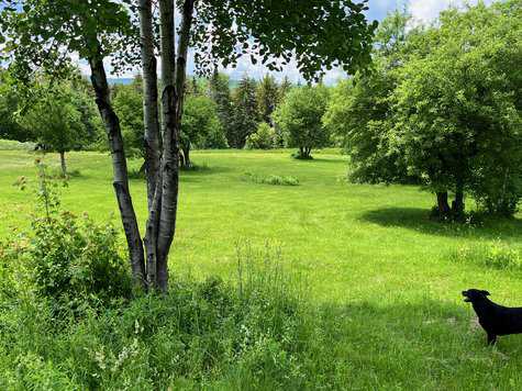 Warren VT 05674