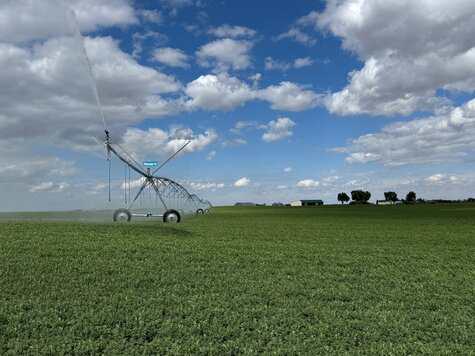 Wanted - Irrigated Land Bow Island / Burdett / Seven Persons AB T0K 0G0