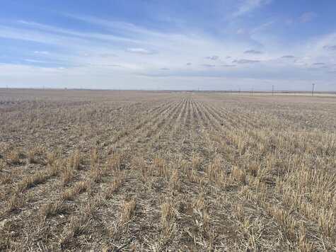 On Twp 142 Carmagay AB