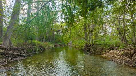 Utopia TX