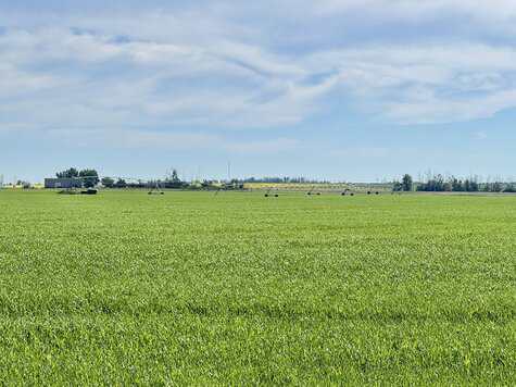 211184 Rg Road 154 Rosemary AB