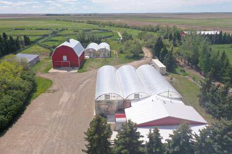 211A Flowerville Avenue Blumenort SK S0N 0E0
