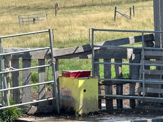 NW 12-6-30 4 Pincher Creek AB T0K 1W0