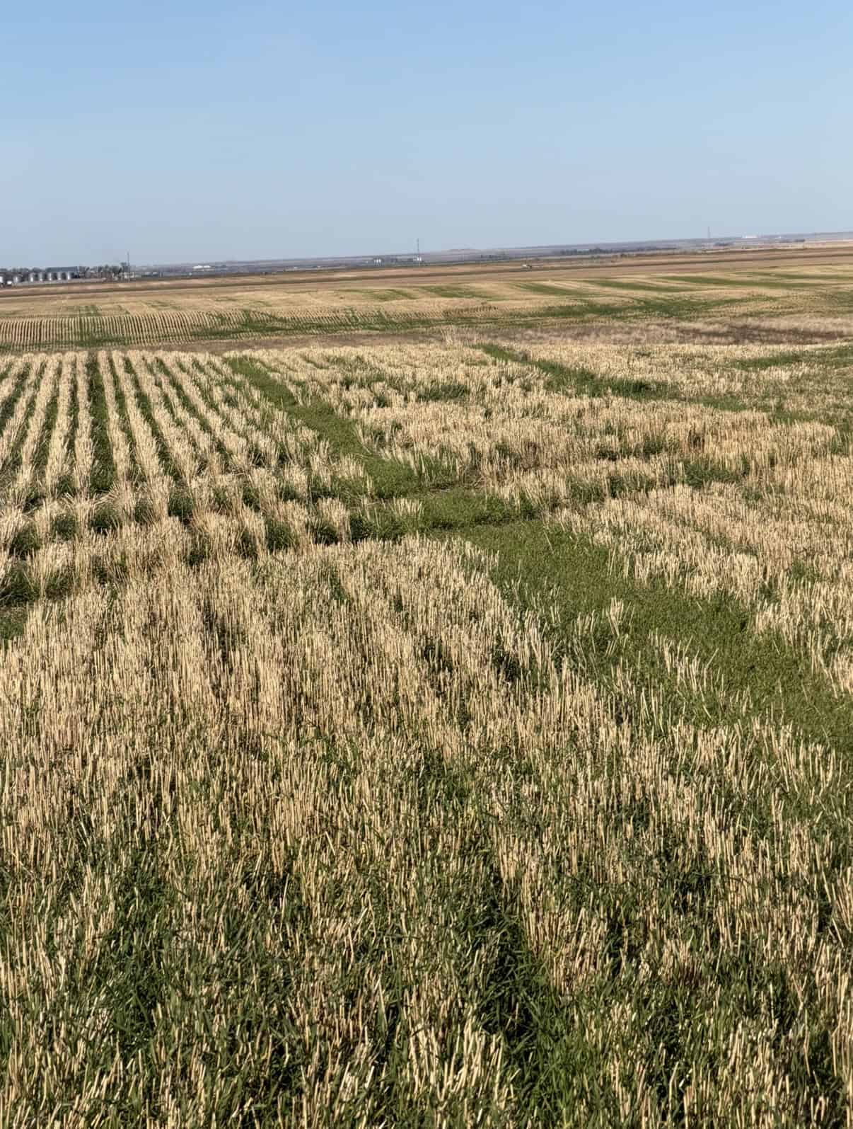 Coaldale AB
