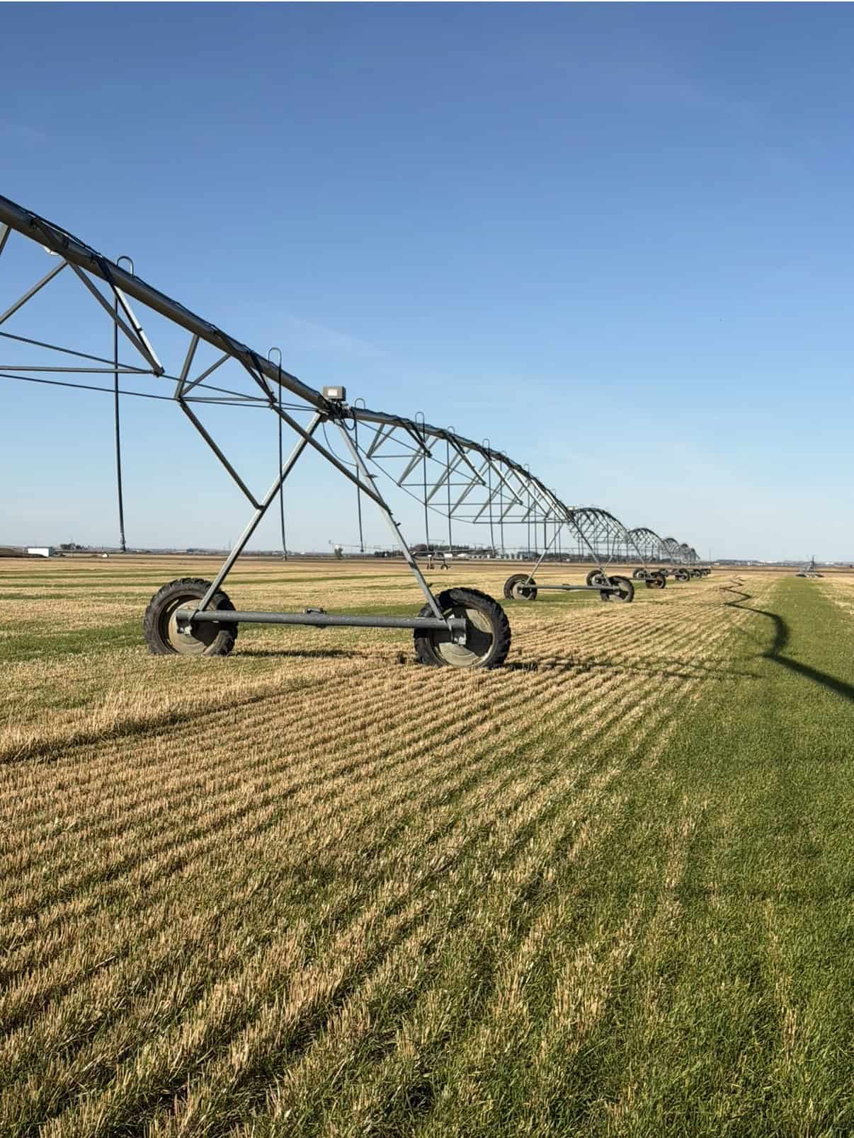 Coaldale AB