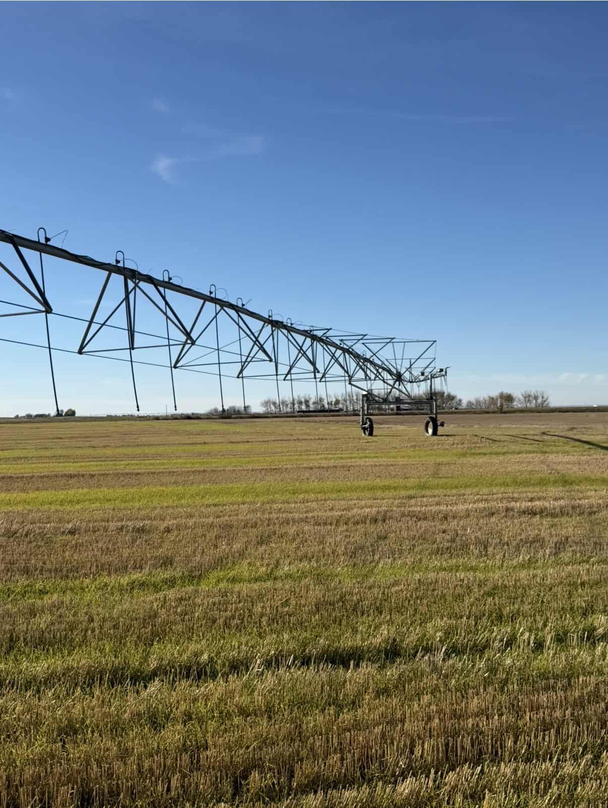 Coaldale AB