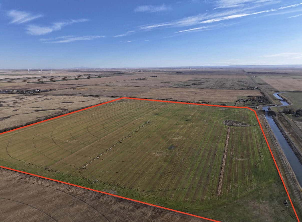 Coaldale AB