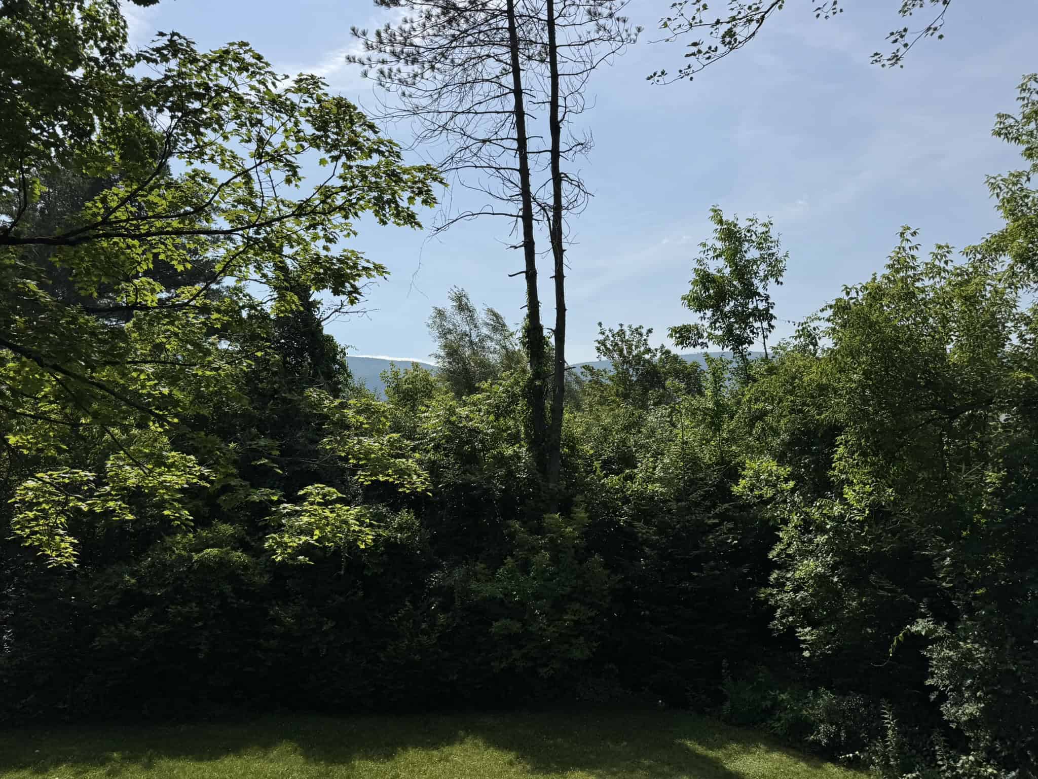 Manchester Center VT 05255