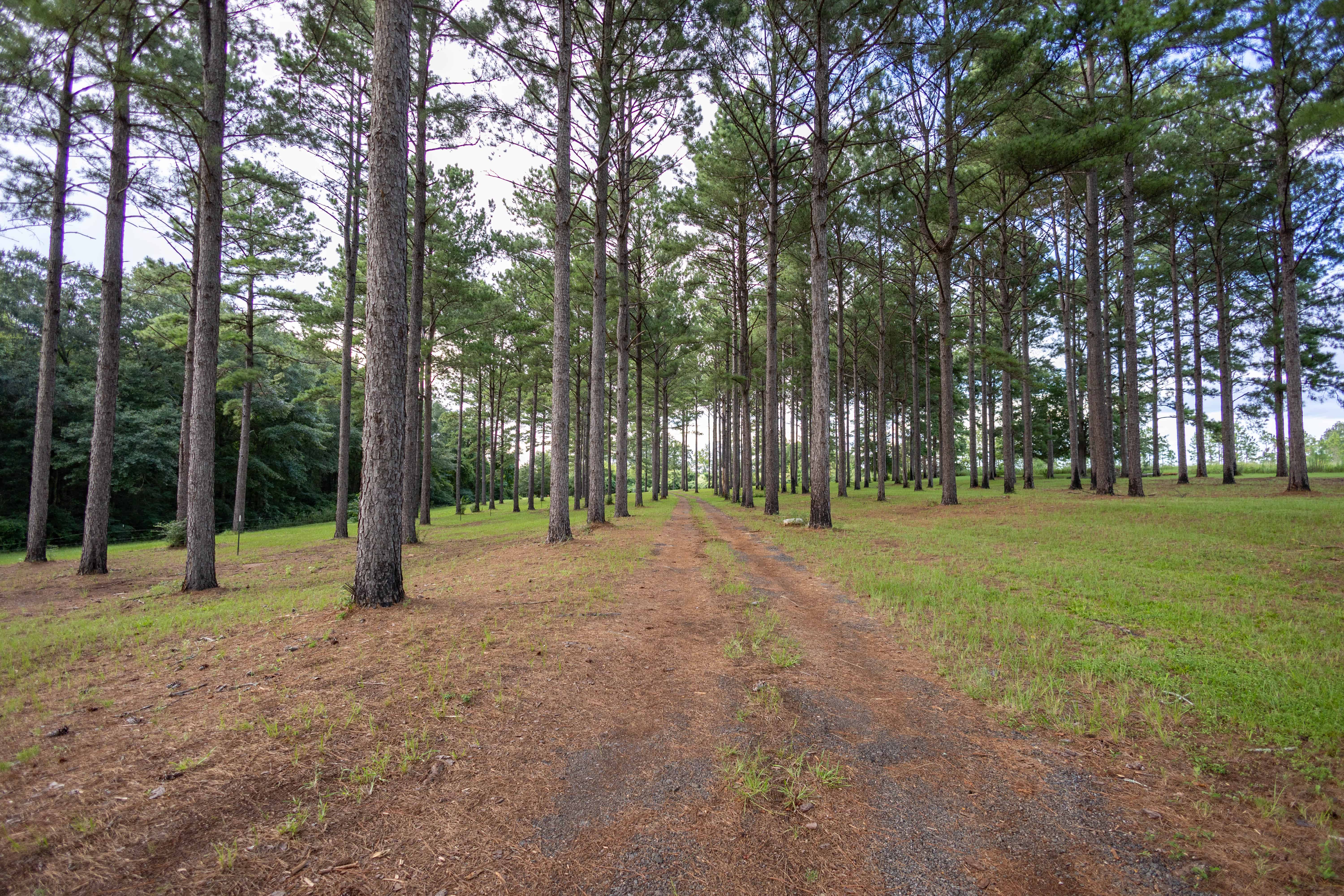 790 Tom Fain Road Chancellor AL 36313