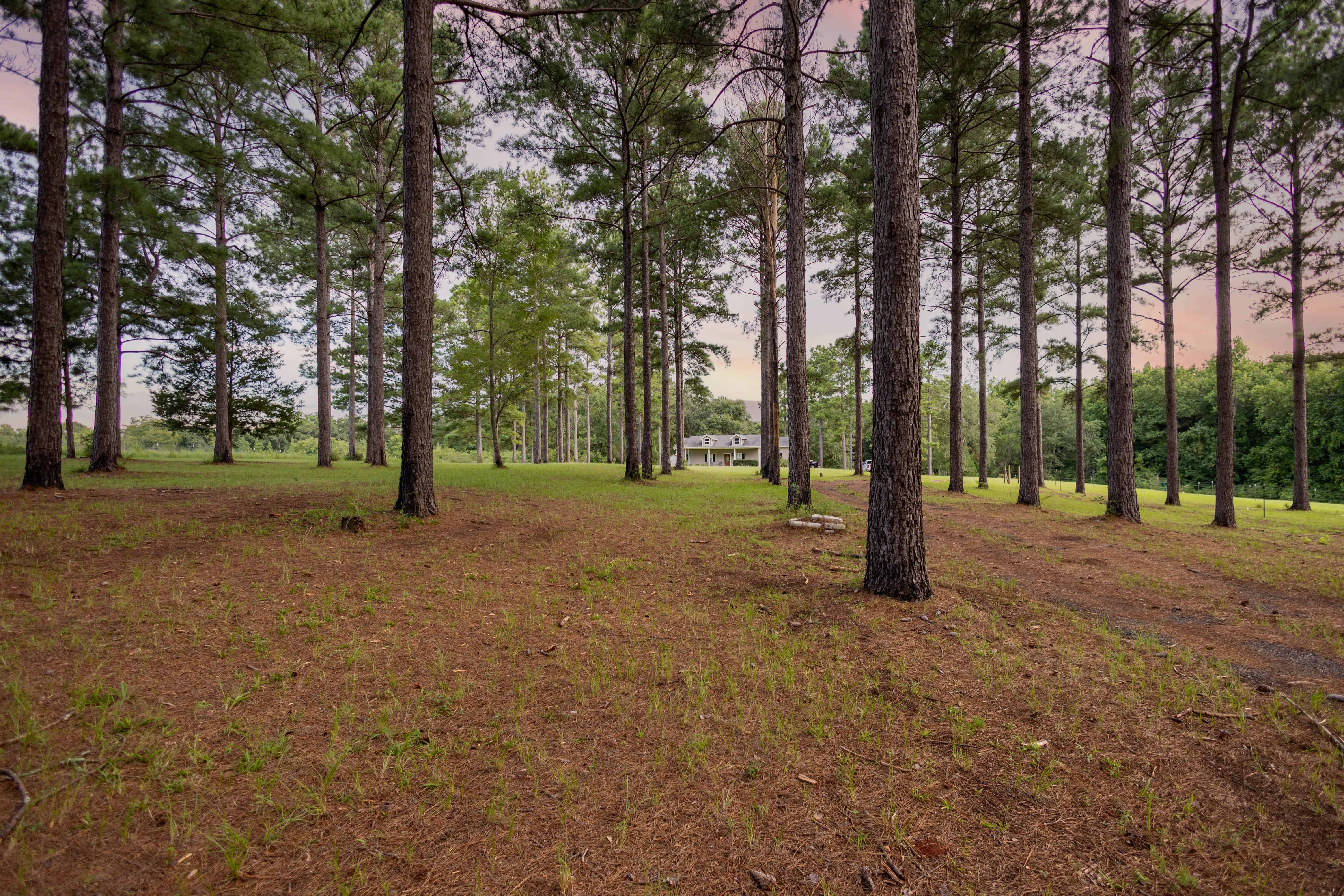 790 Tom Fain Road Chancellor AL 36313