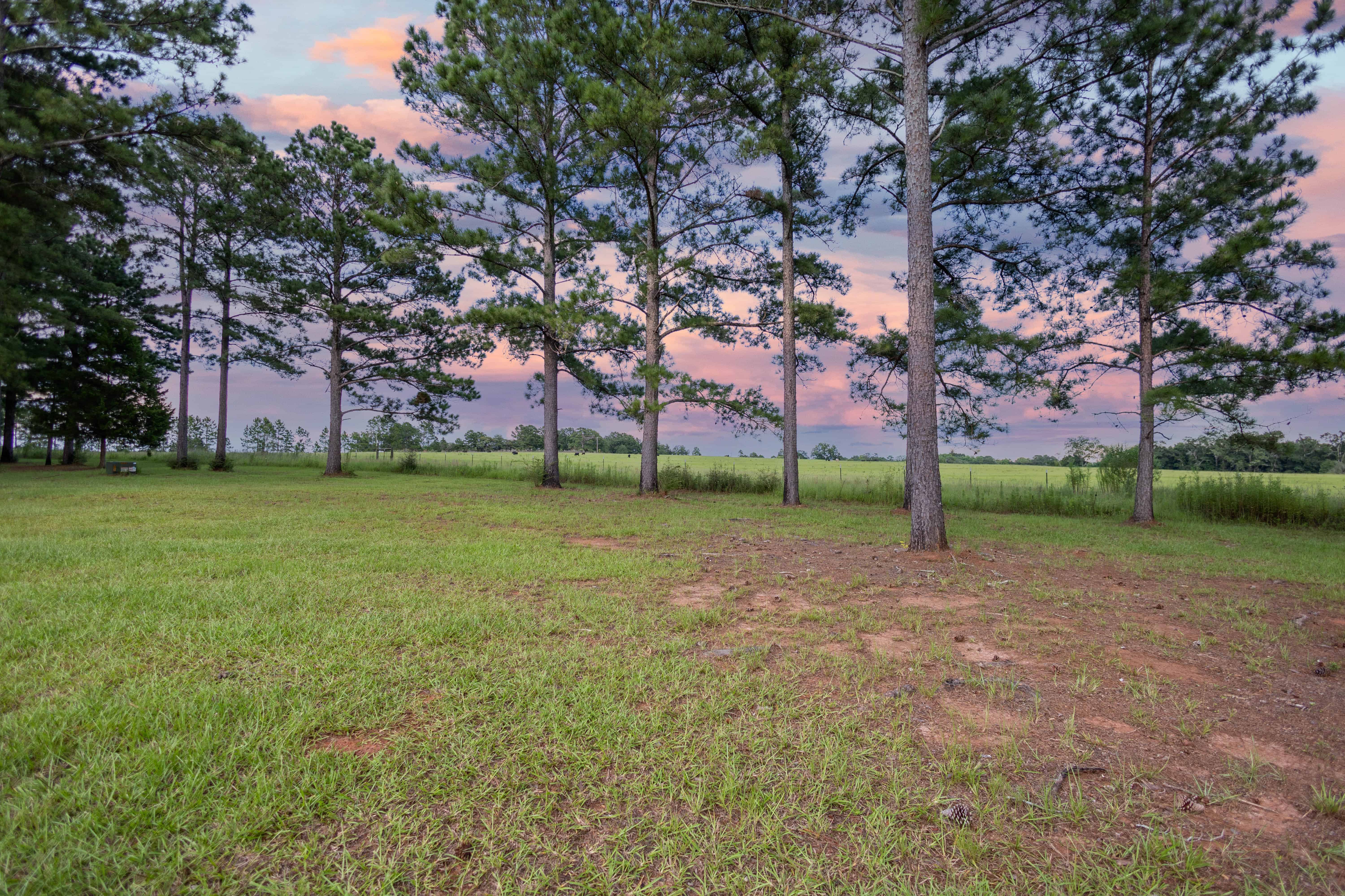 790 Tom Fain Road Chancellor AL 36313