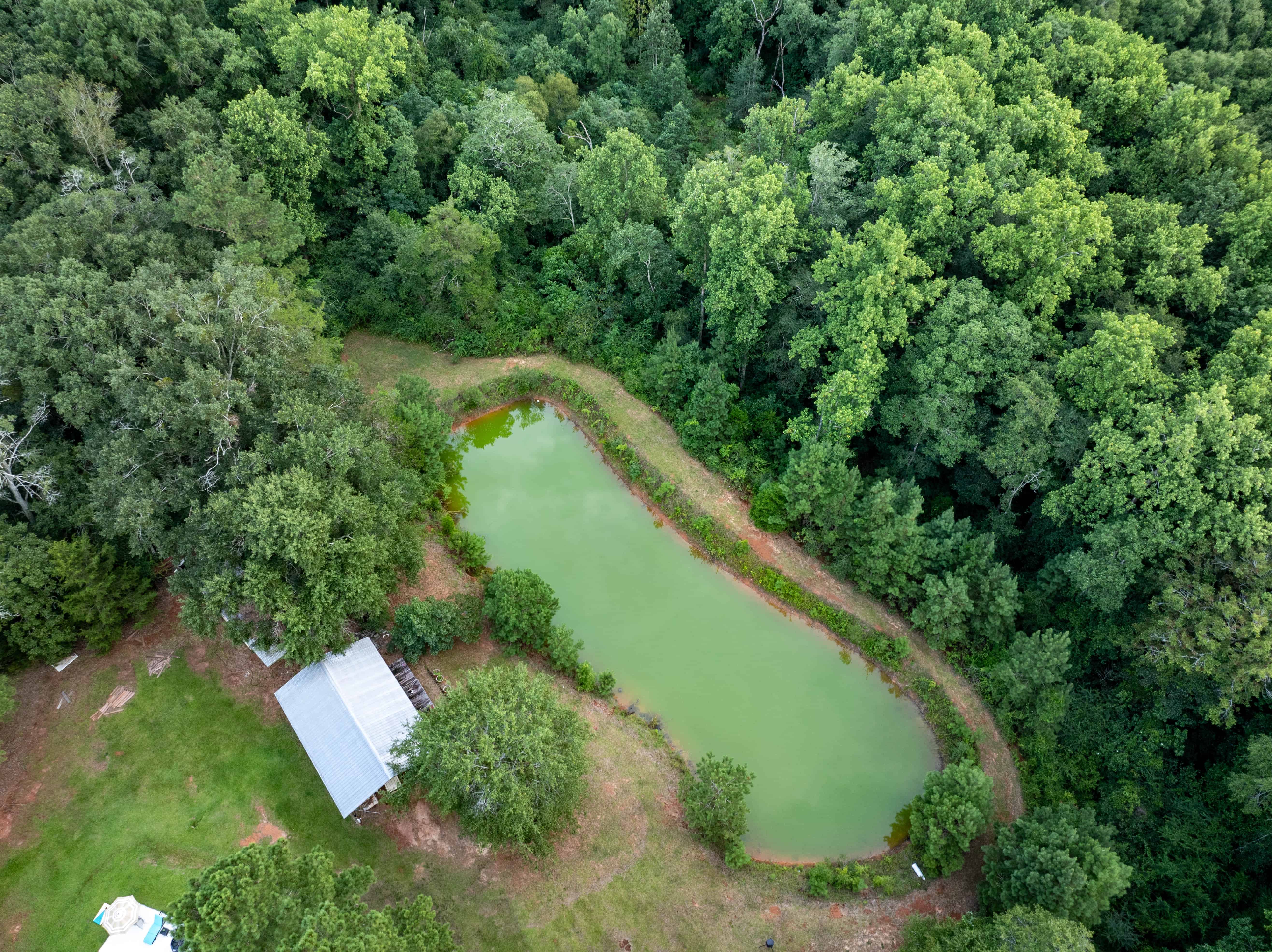 790 Tom Fain Road Chancellor AL 36313