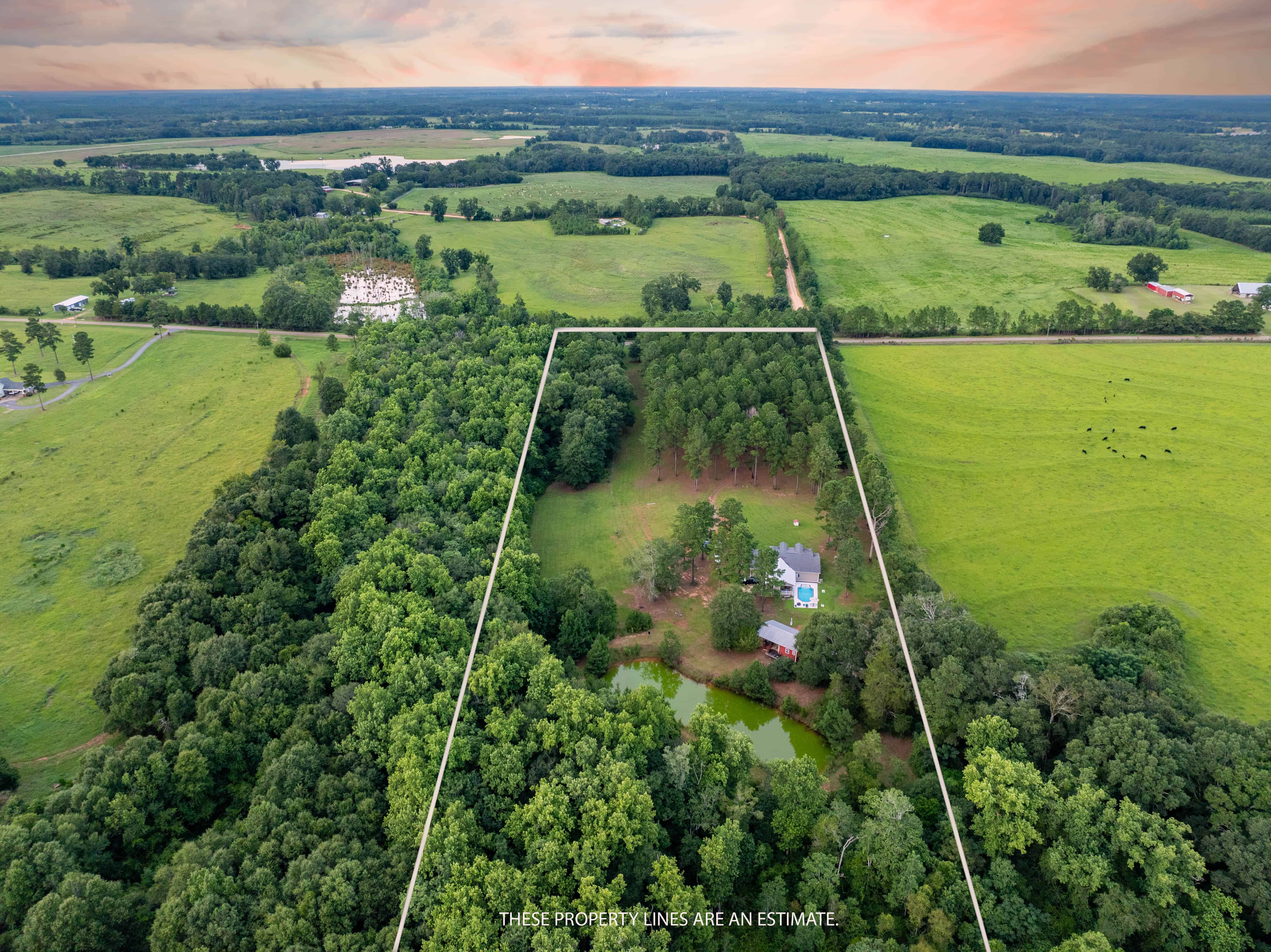 790 Tom Fain Road Chancellor AL 36313
