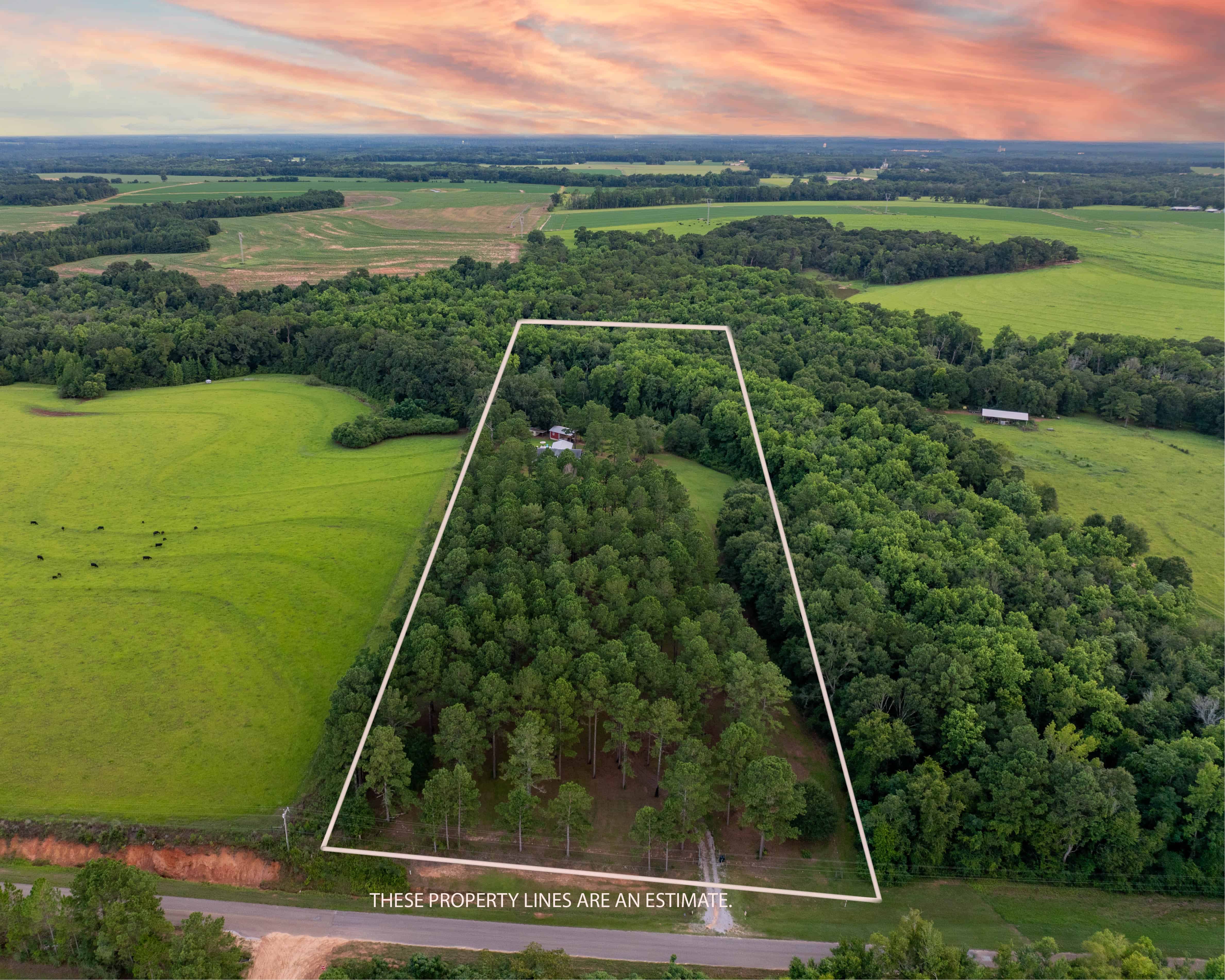 790 Tom Fain Road Chancellor AL 36313
