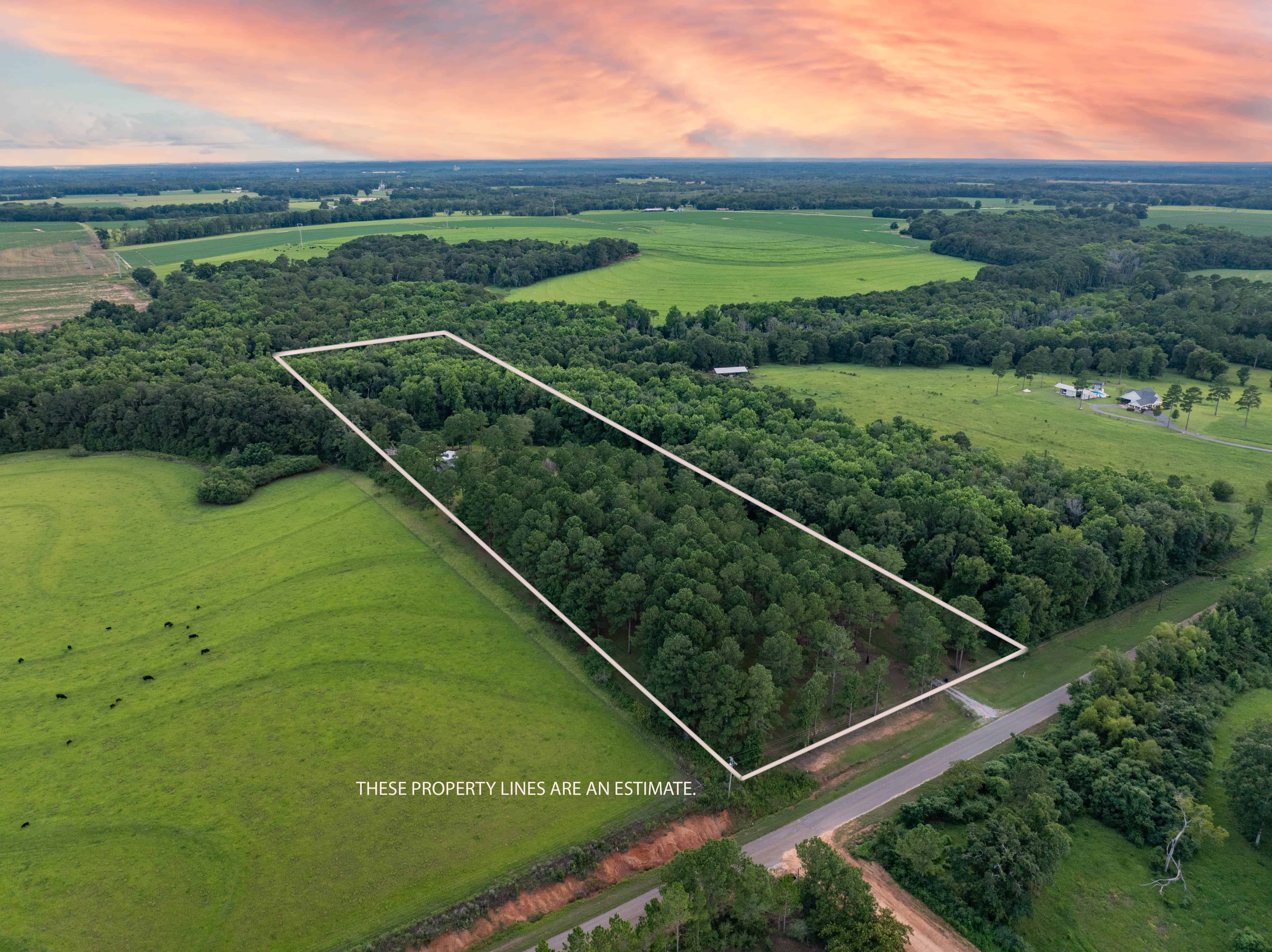 790 Tom Fain Road Chancellor AL 36313
