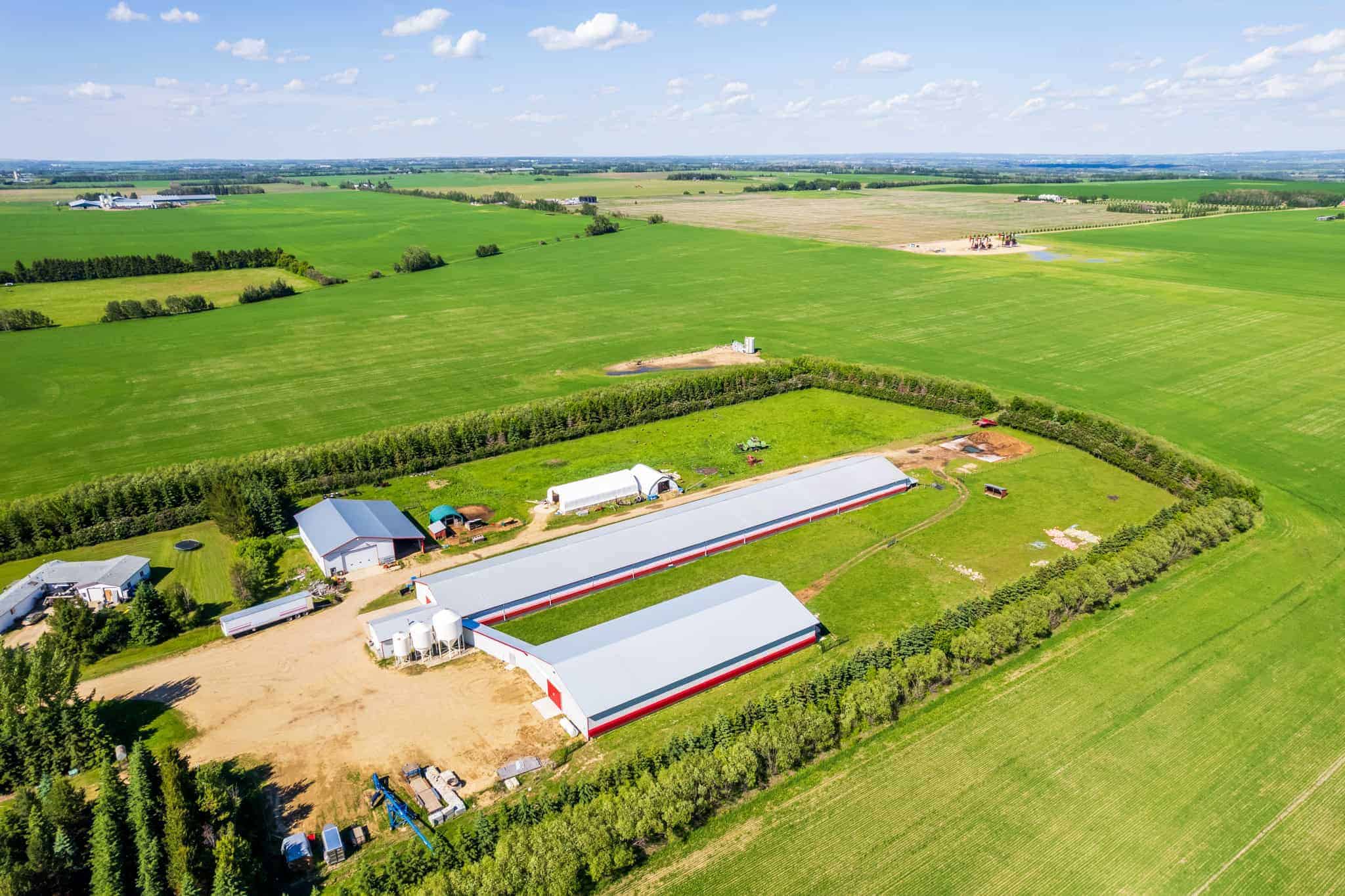 39425 Range Road 281 Blackfalds AB T4M 0W4