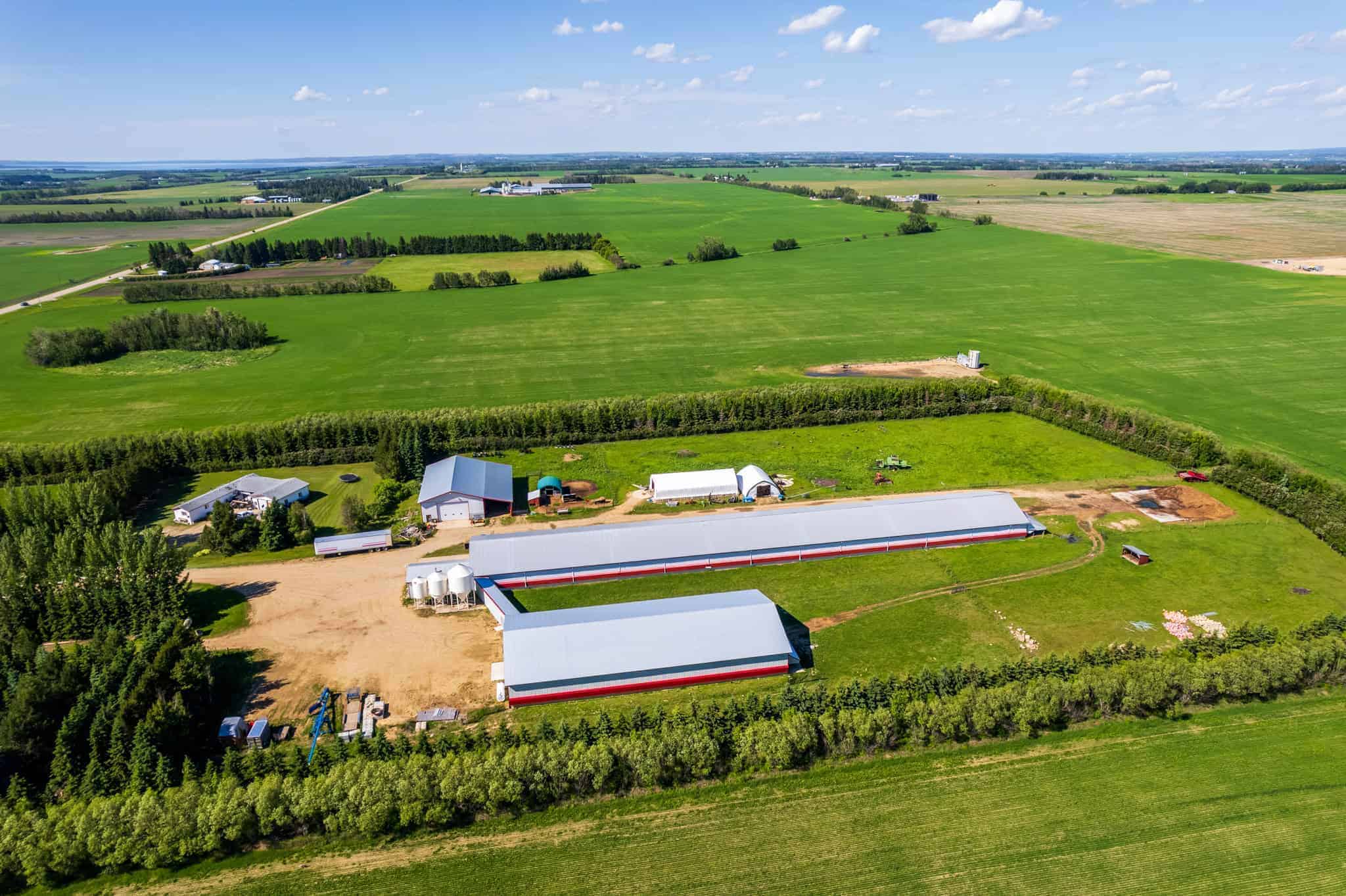 39425 Range Road 281 Blackfalds AB T4M 0W4
