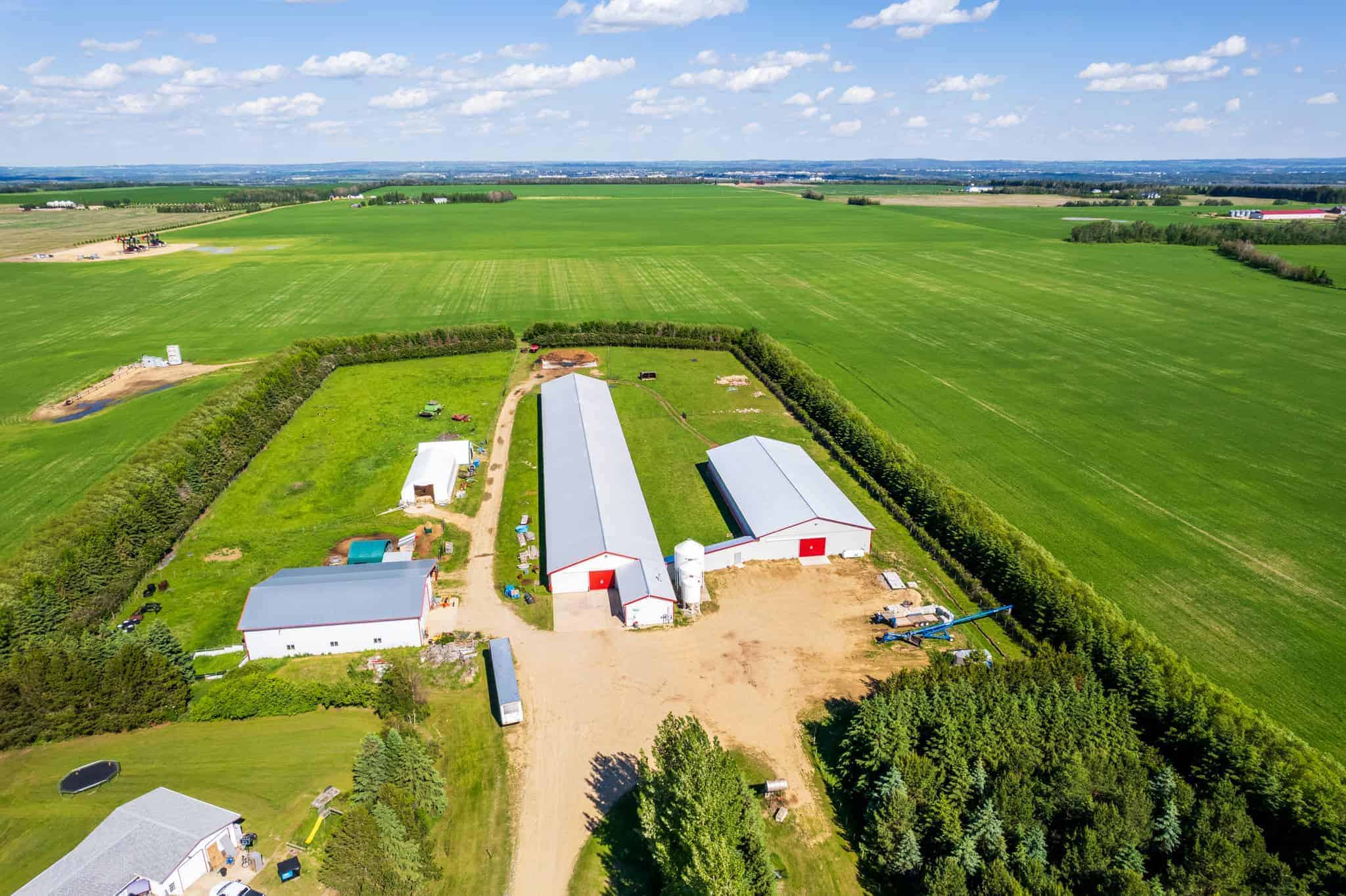 39425 Range Road 281 Blackfalds AB T4M 0W4