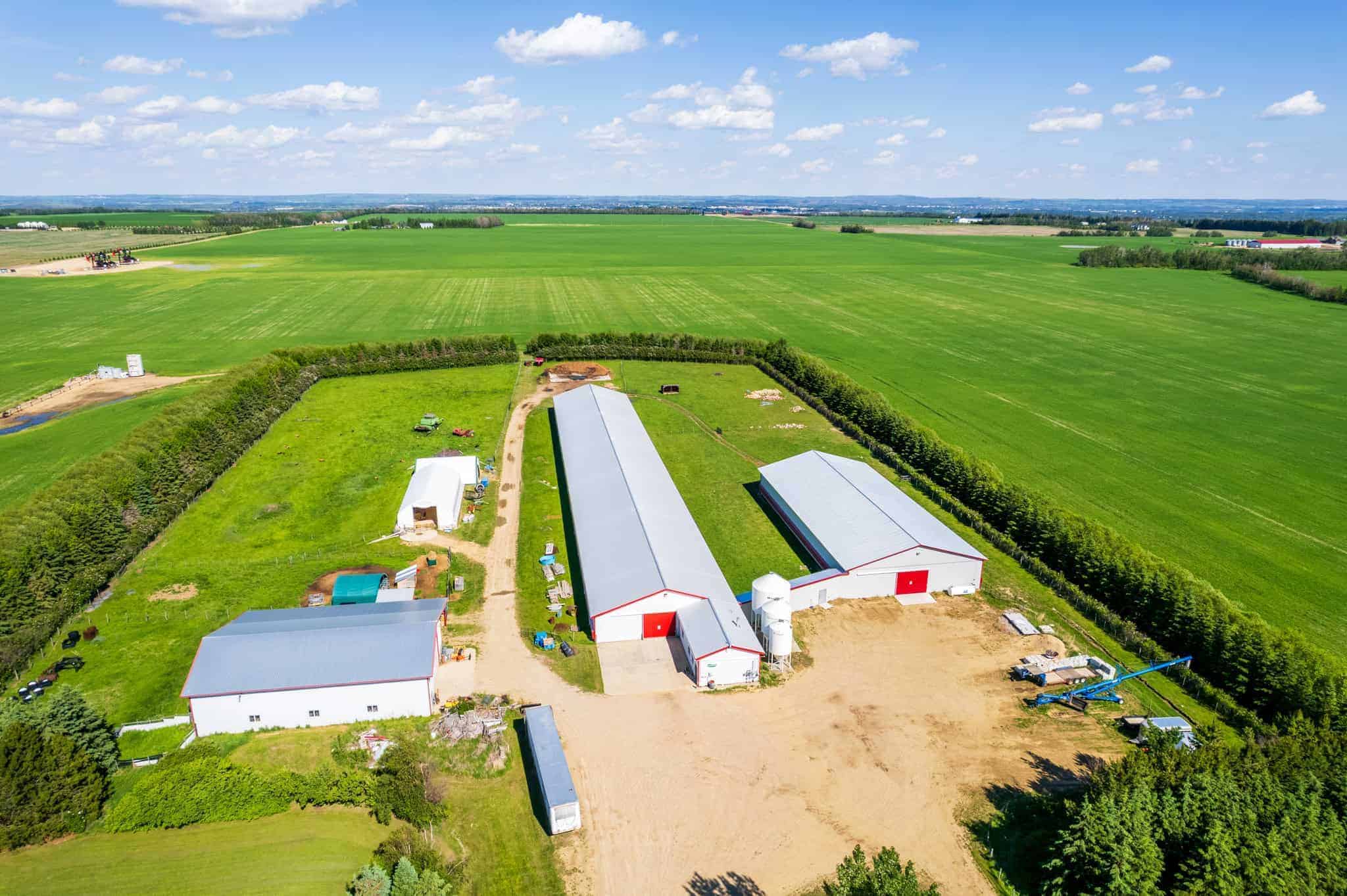 39425 Range Road 281 Blackfalds AB T4M 0W4