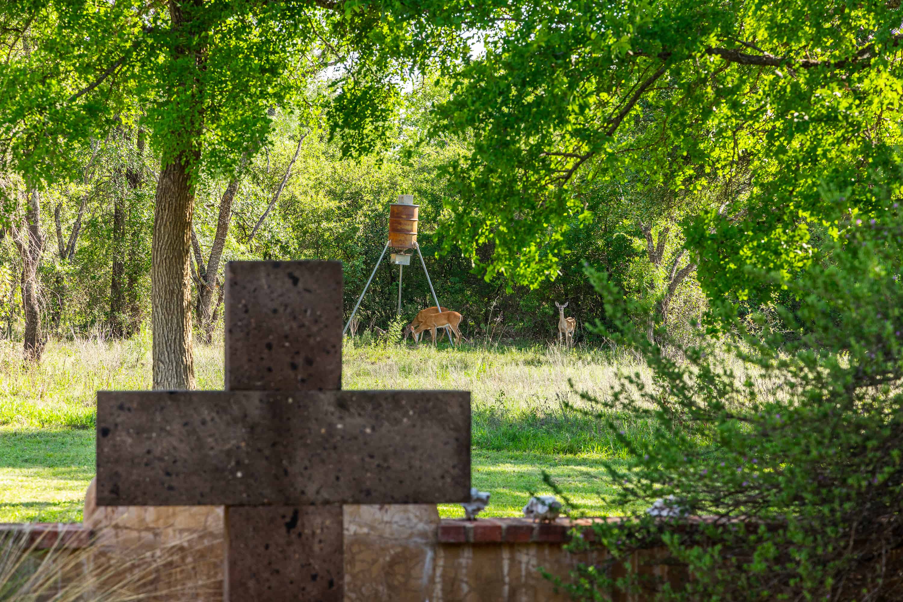 2675 County Road 304 Comanche TX 76442
