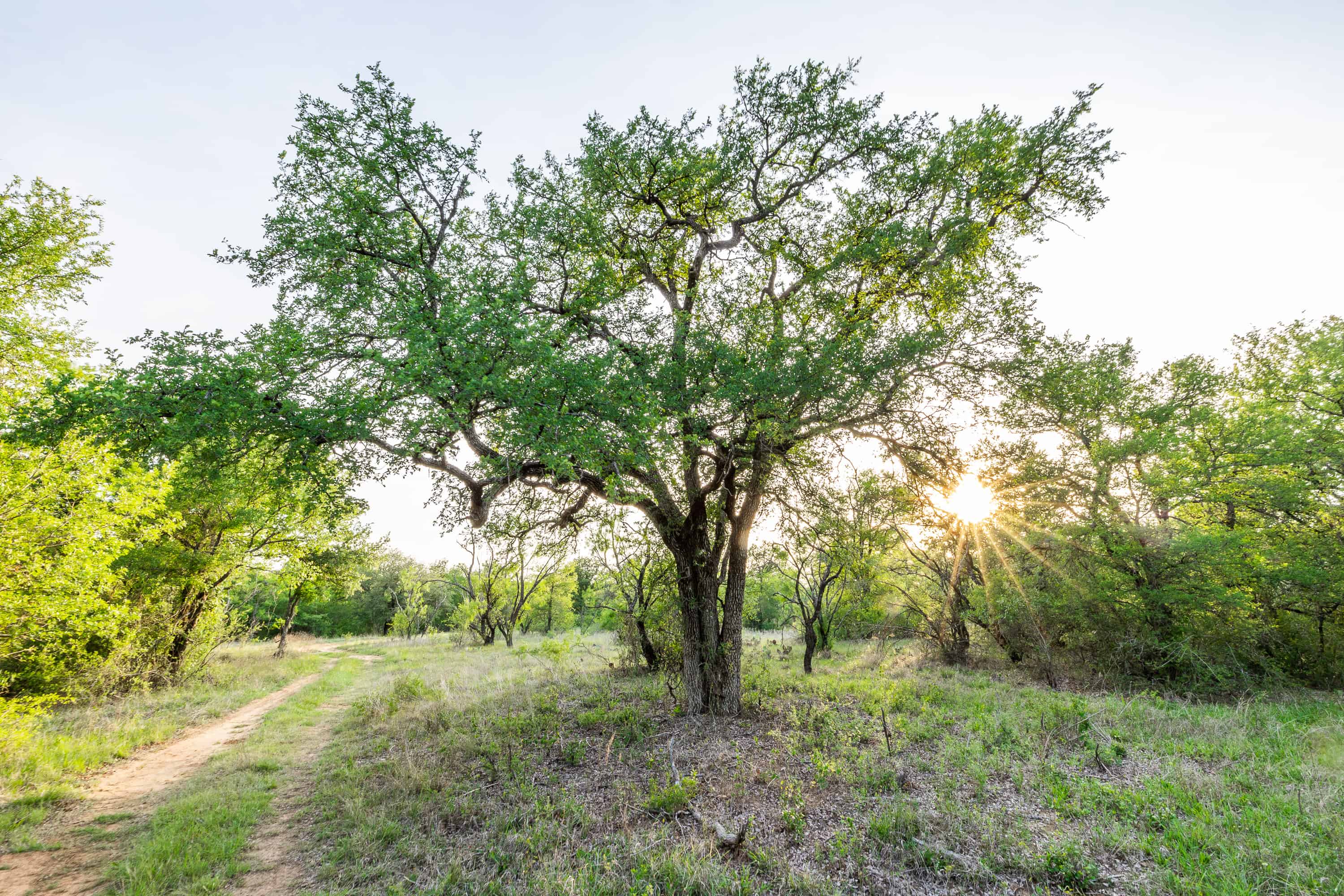 2675 County Road 304 Comanche TX 76442