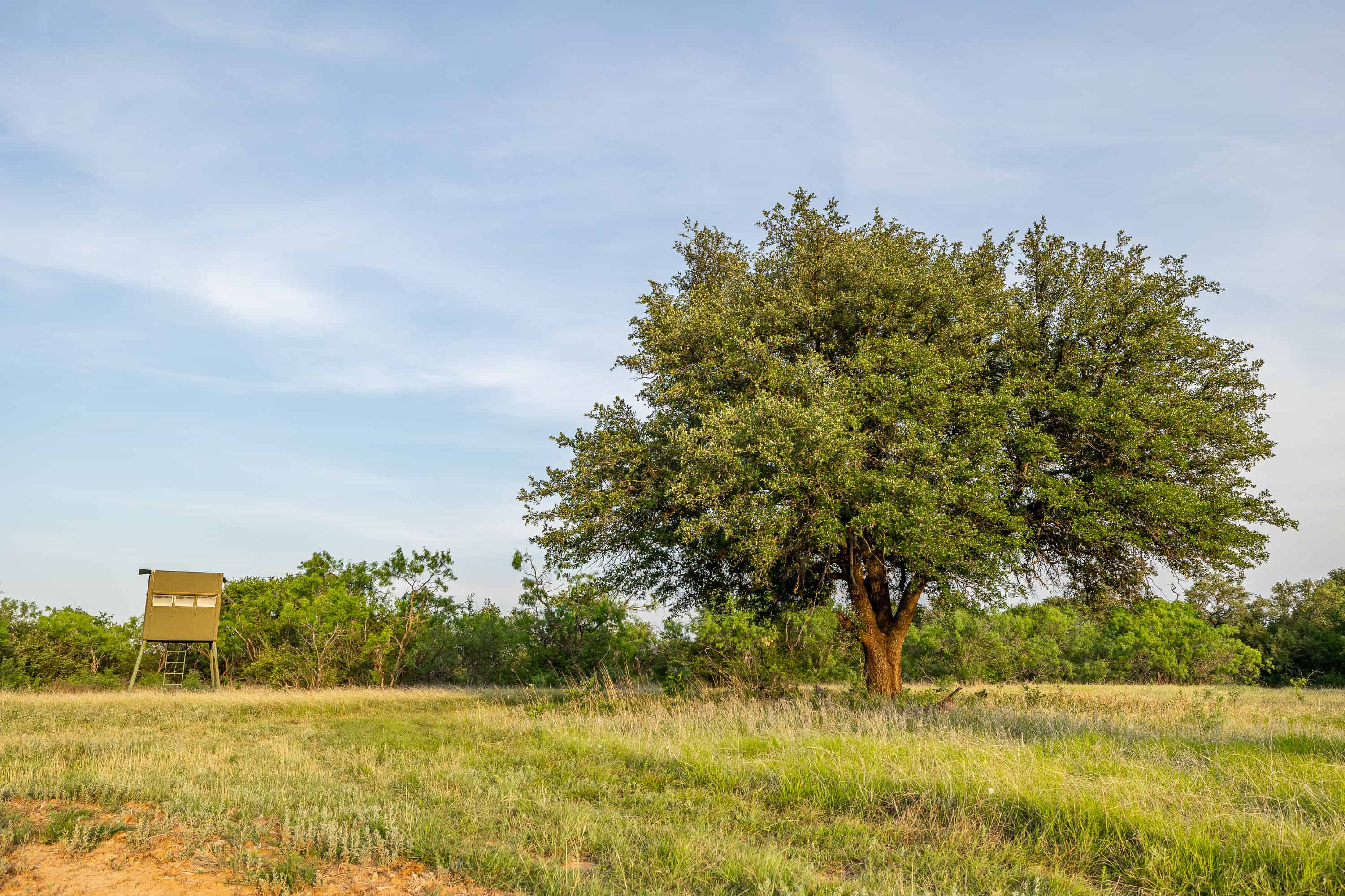 2675 County Road 304 Comanche TX 76442